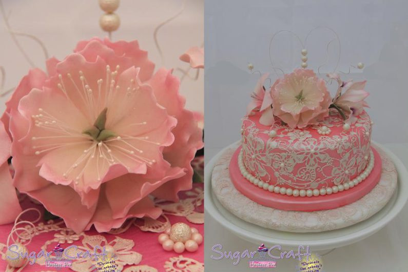 Hostess Wedding Cakes
 Hostess Pro Sugar Craft Pretoria Wedding Cakes Pink Book
