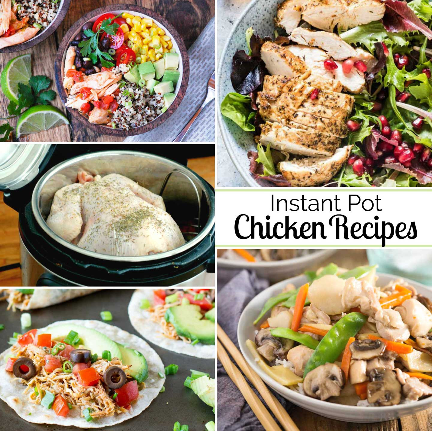 Instant Pot Chicken Recipes Healthy
 Healthy Instant Pot Chicken Recipes Two Healthy Kitchens