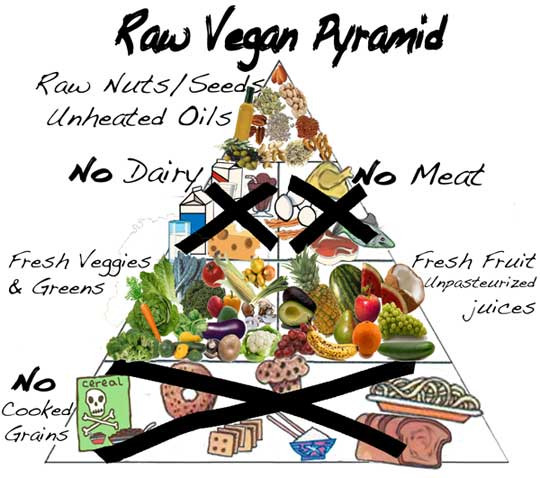 Is A Raw Food Diet Healthy
 Raw Food Diet Revolution