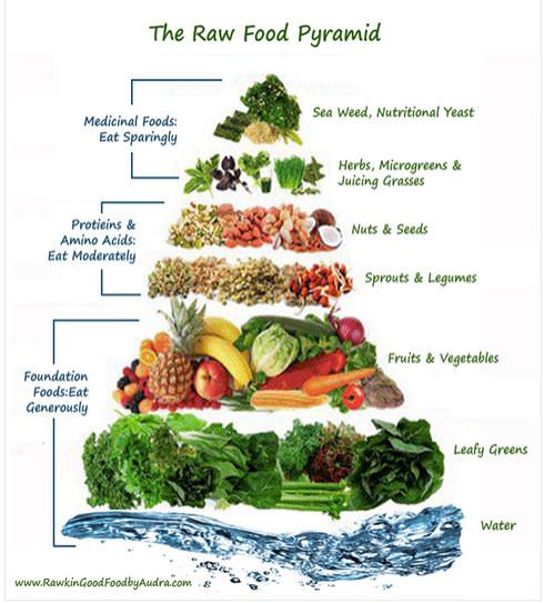 Is A Raw Food Diet Healthy
 The Raw Vegan Living Food Diet 101