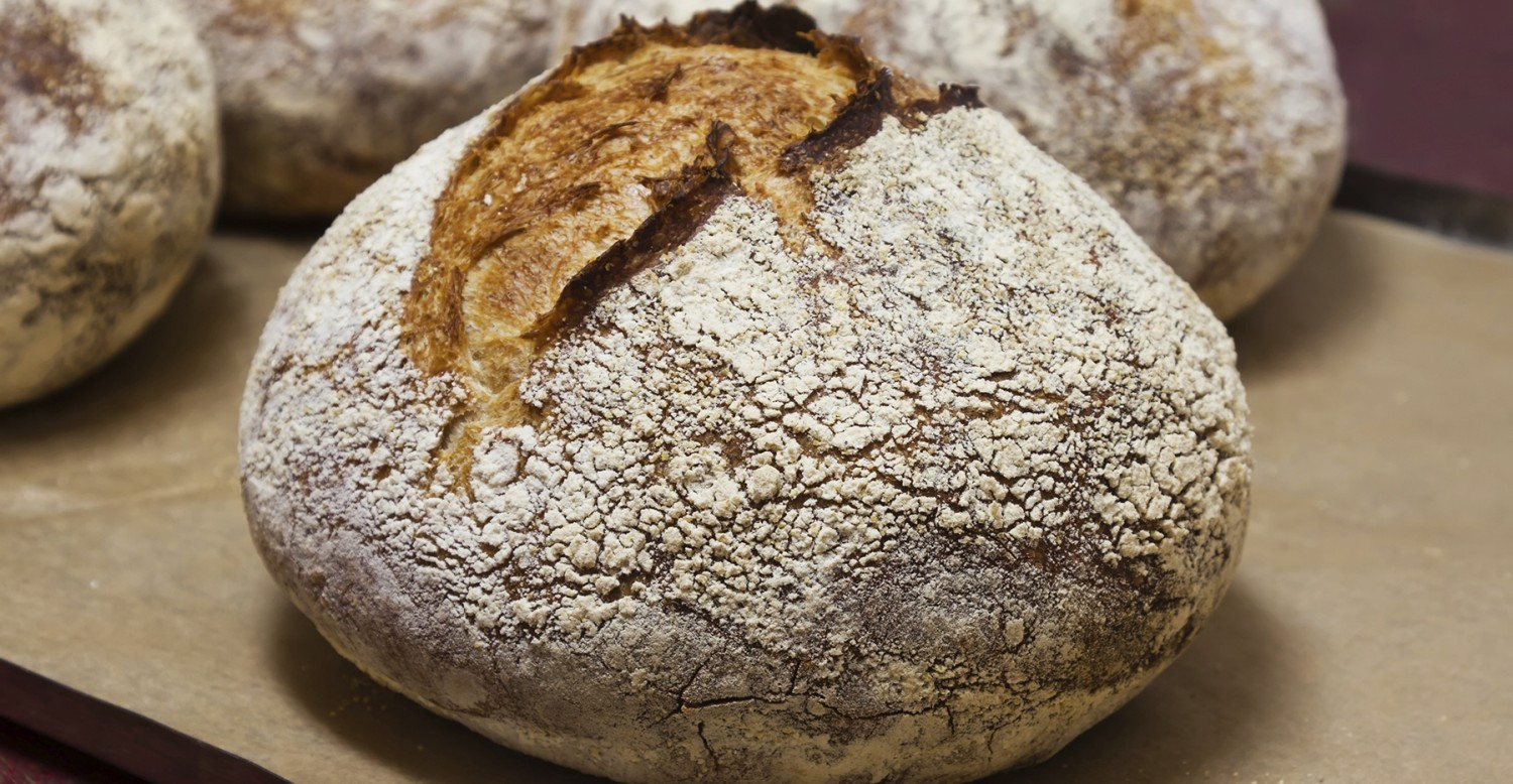 Is Any Bread Healthy
 Is Any Bread Actually Healthy A Must Read Before You Buy