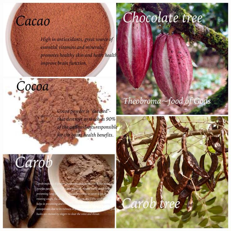 Is Cocoa Powder Healthy
 16 best images about algarroba on Pinterest