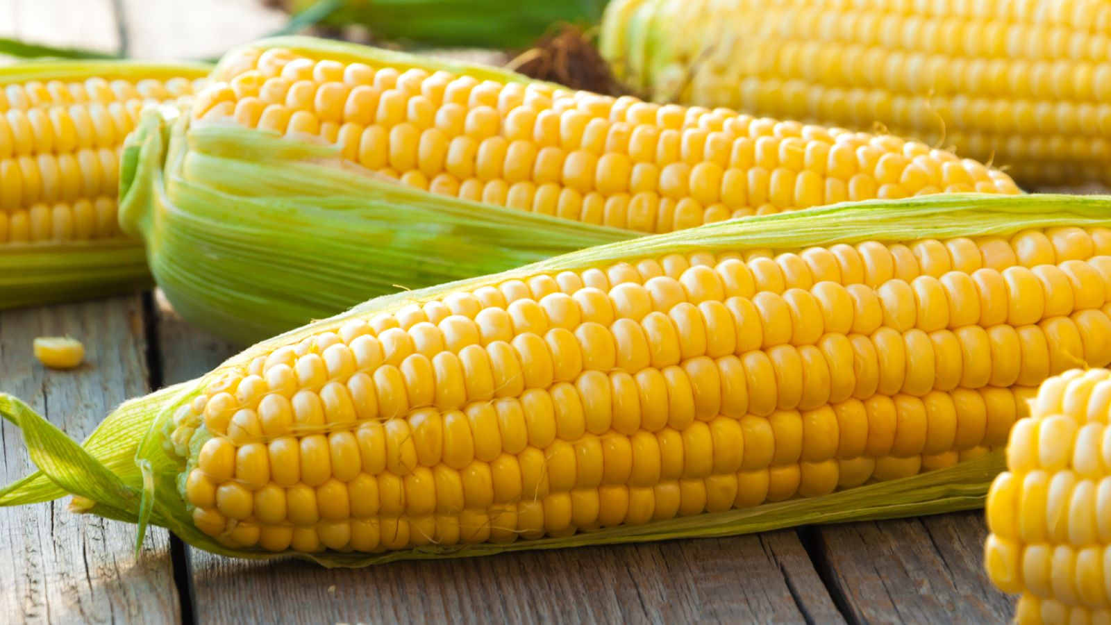 Is Corn Healthy
 Surprising Health Benefits Corn Health Cautions