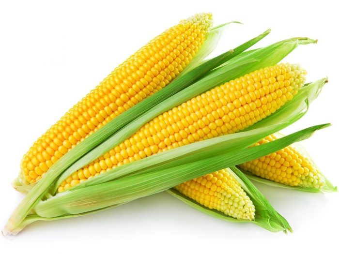 Is Corn Healthy
 11 Impressive Benefits of Corn