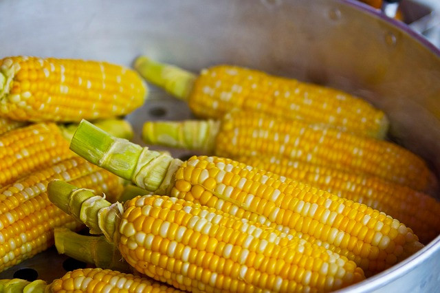 Is Corn Healthy
 Top 10 Incredible Health Benefits of Corn 6 WILL