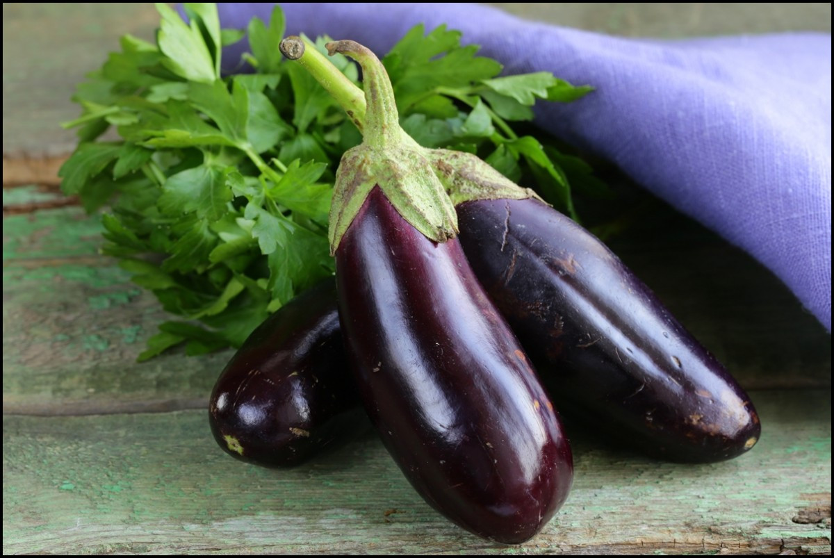 Is Eggplant Healthy
 Important Health Benefits of Eggplant 8 Reasons Why You