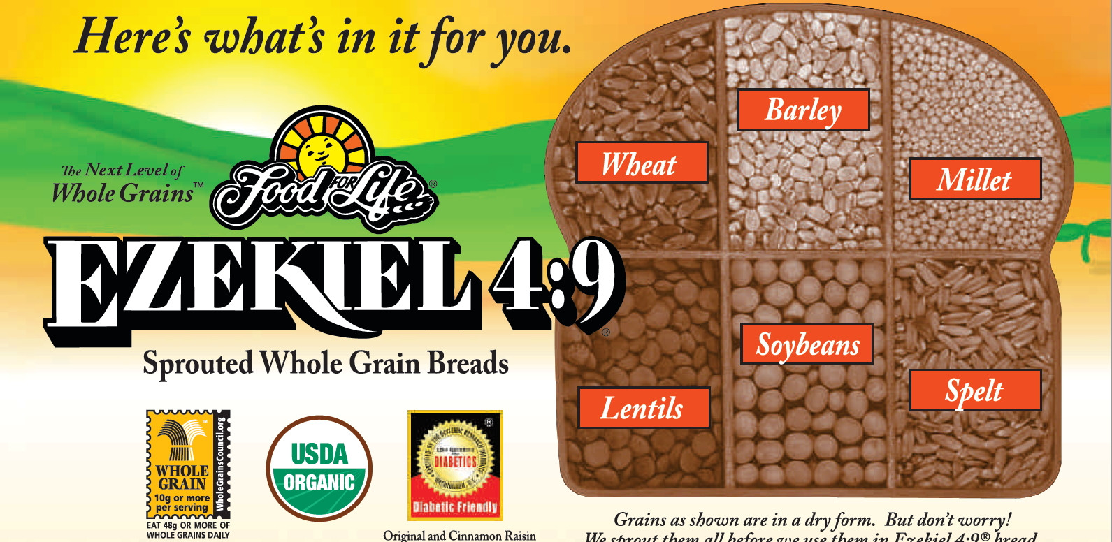 Is Ezekiel Bread Healthy
 What is Ezekiel Bread Is Ezekiel Bread gluten free Is it