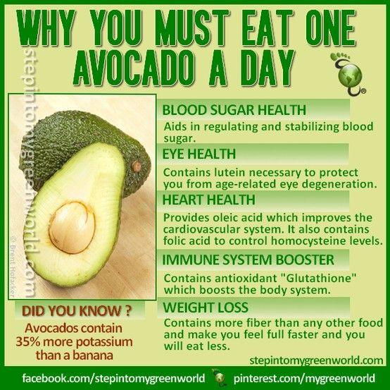 Is Guacamole Healthy for Weight Loss the Best Avocado is Weight Loss Ingre Nt because the Body Flush