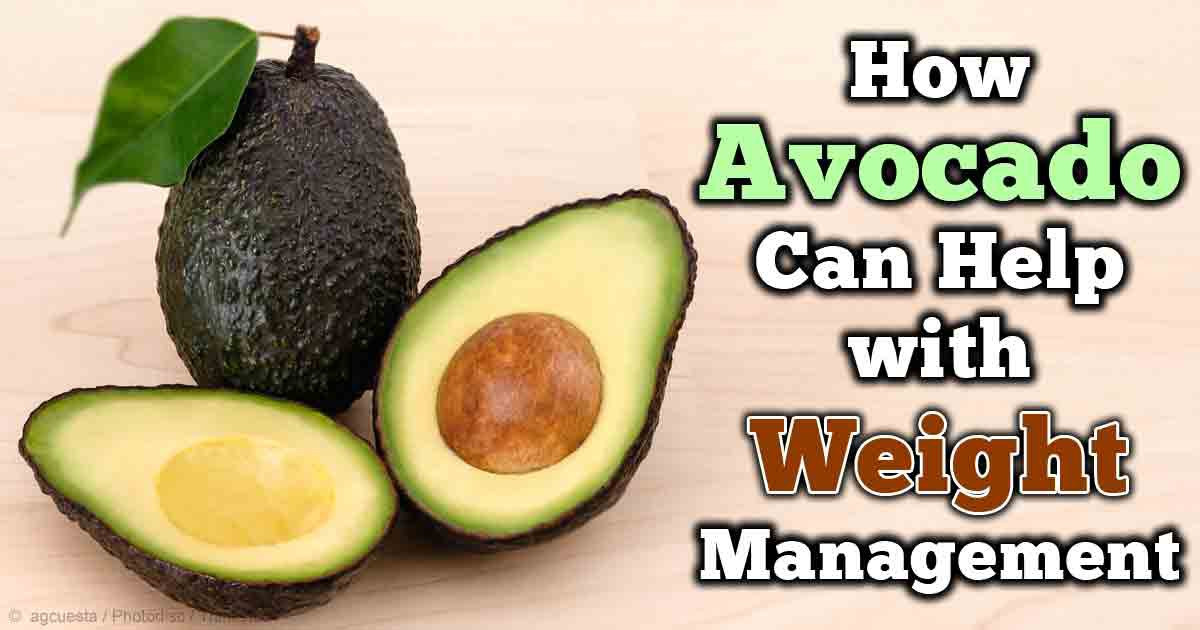 Is Guacamole Healthy For Weight Loss
 best fruit for weight loss avocado for weight loss
