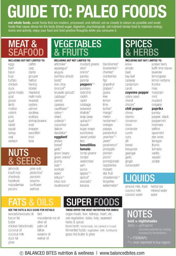 Is Paleo Diet Healthy
 Guide to Paleo Foods Cheat Sheet Best Infographics