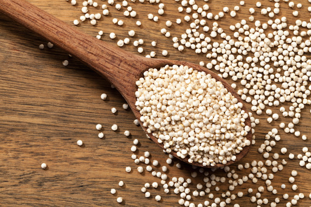 Is Quinoa Kosher For Passover
 Is Quinoa Kosher for Passover My Jewish Learning