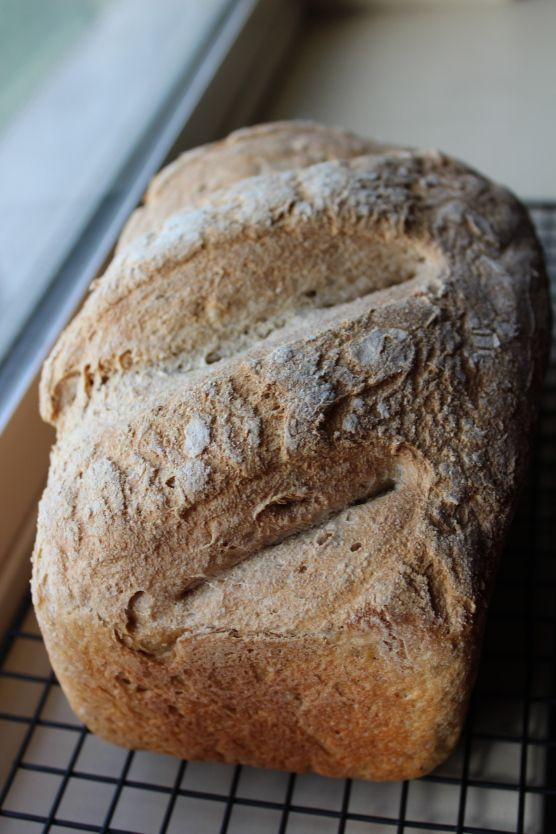 Is Sourdough Bread Healthy
 17 Best images about Licoli on Pinterest