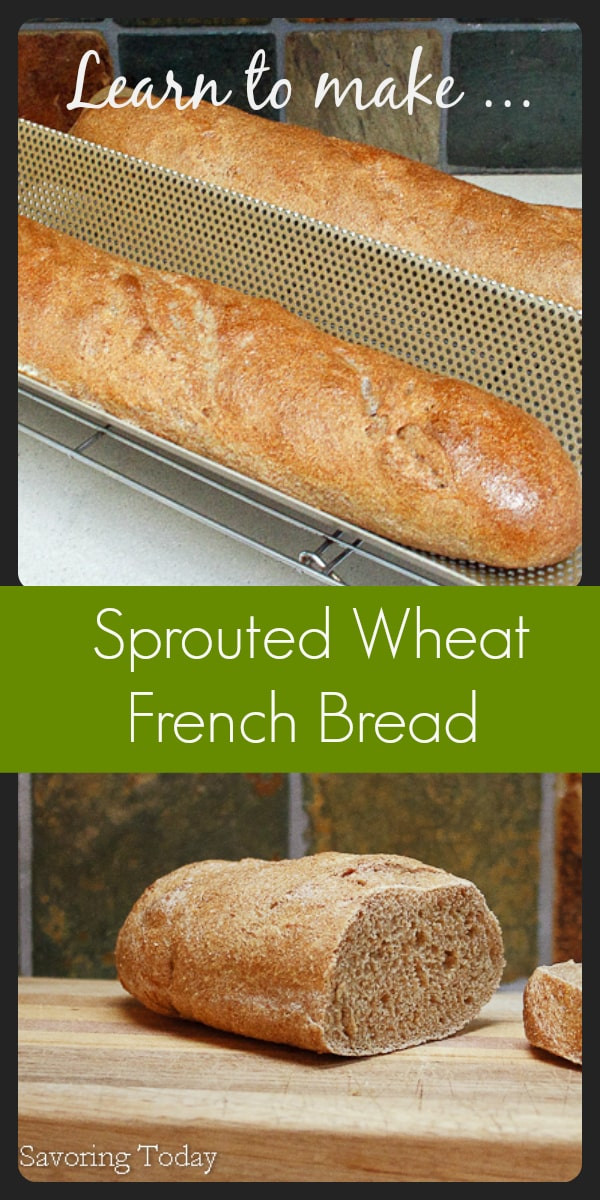 Is Sprouted Bread Healthy
 Sprouted Wheat French Bread Recipe