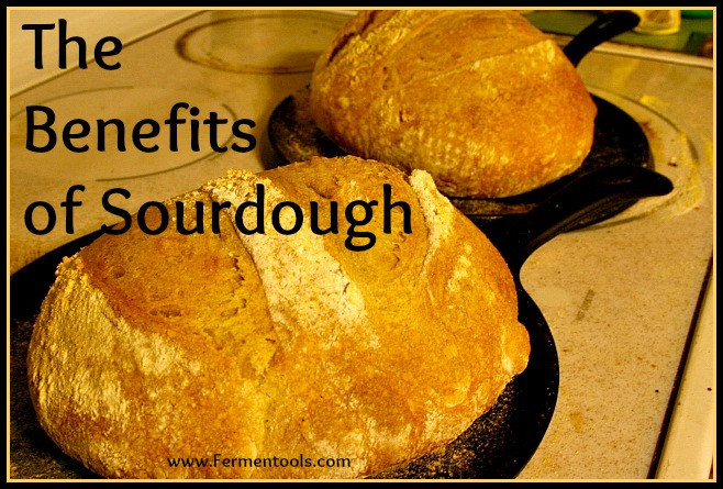 Is Store Bought Sourdough Bread Healthy
 The Benefits of Sourdough