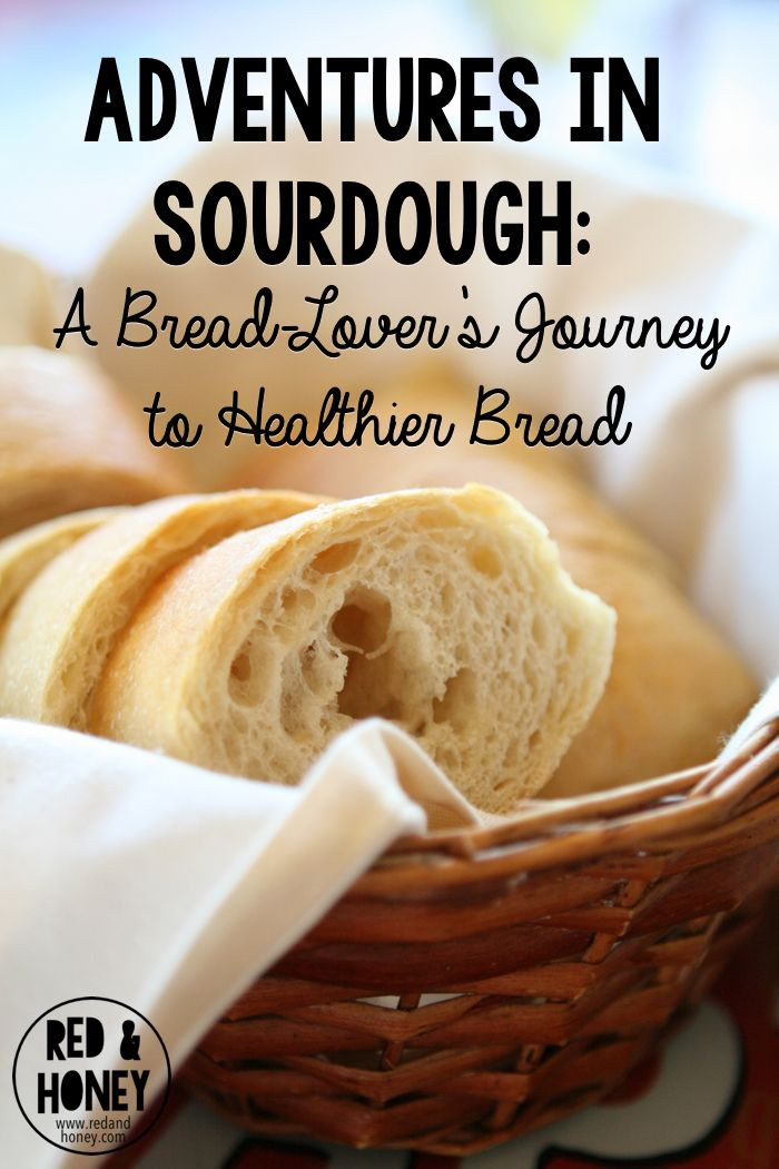 Is Store Bought Sourdough Bread Healthy
 91 best images about Side Dishes on Pinterest