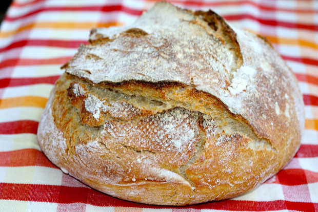 Is Store Bought Sourdough Bread Healthy
 Should You Go Grain Free An Interview With Ann Marie