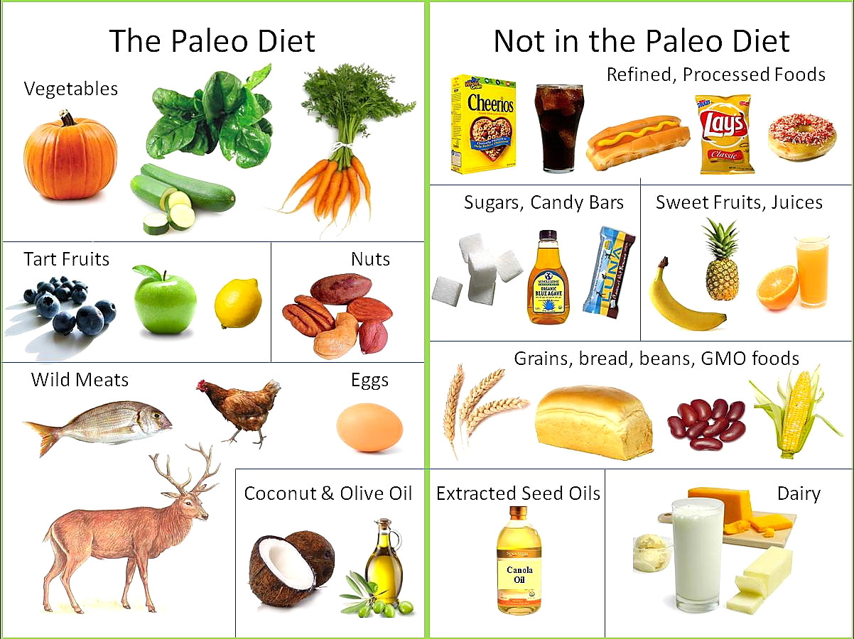 Is The Paleo Diet Healthy
 What is the Paleo Diet