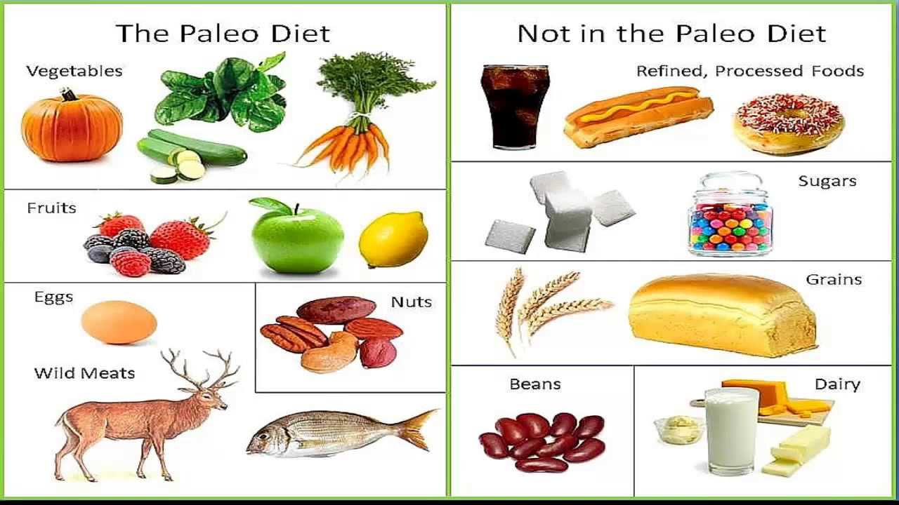 Is The Paleo Diet Healthy
 Paleo Diet what is it should you try it Level 9 Fitness