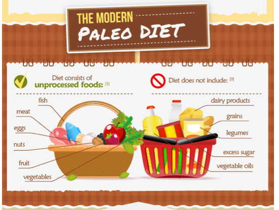 Is The Paleo Diet Healthy
 Does the Paleo Diet Really Work in Alzheimer s Prevention