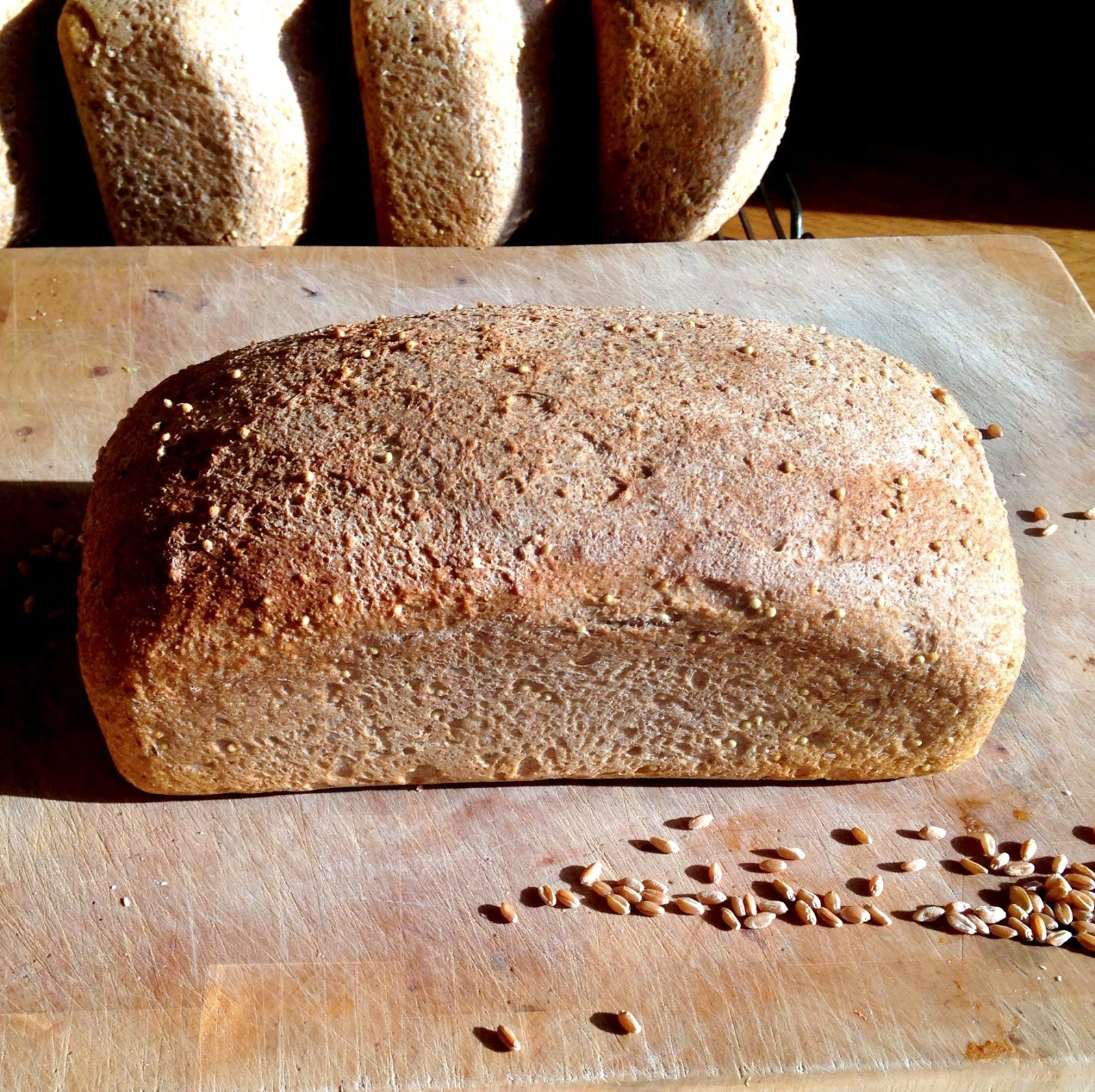 Is Wheat Bread Healthy
 Live Right Be Healthy Homemade Whole Wheat Bread