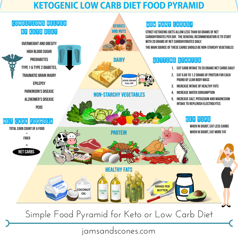 Keto Diet Unhealthy
 Keto Paleo Low Carb or Grain Free OH MY