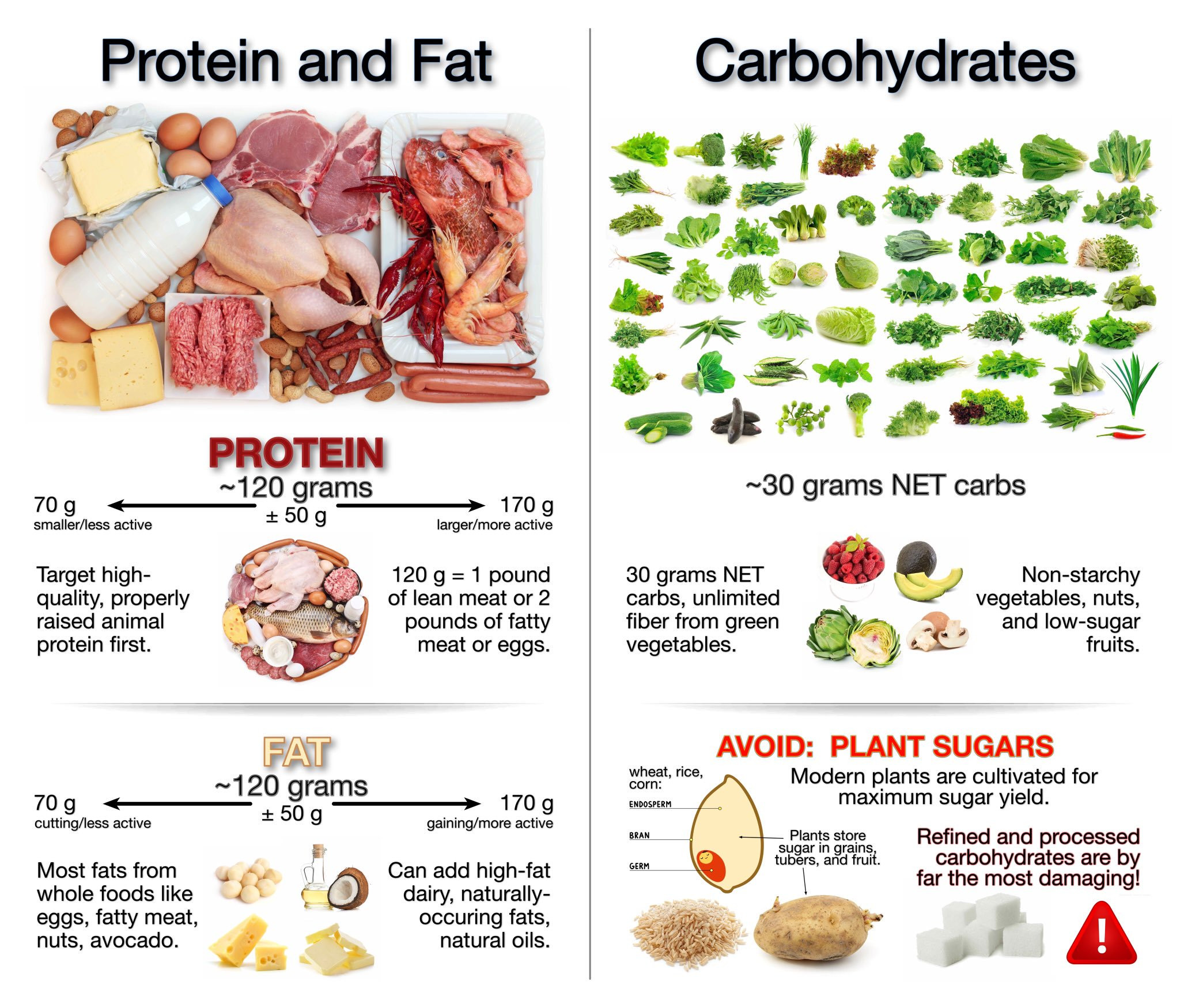 Keto Diet Unhealthy
 Do you think keto is healthy — MyFitnessPal