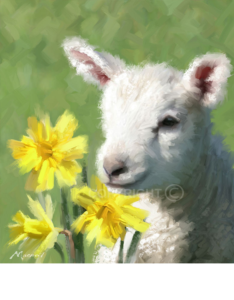 Lamb For Easter
 Related Keywords & Suggestions for easter lamb