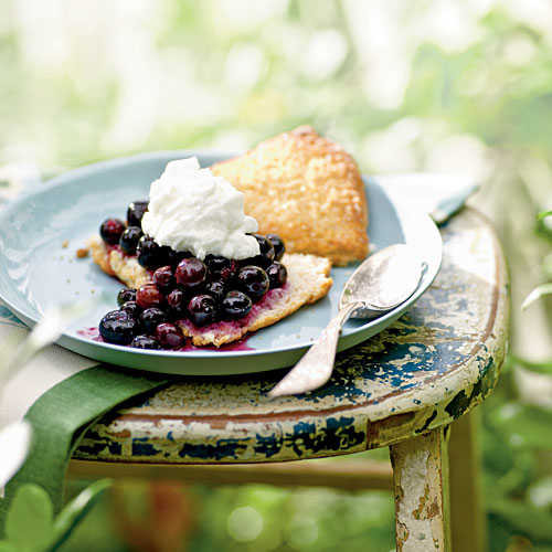 Light Healthy Desserts
 Gingered Blueberry Shortcake 100 Healthy Dessert Ideas