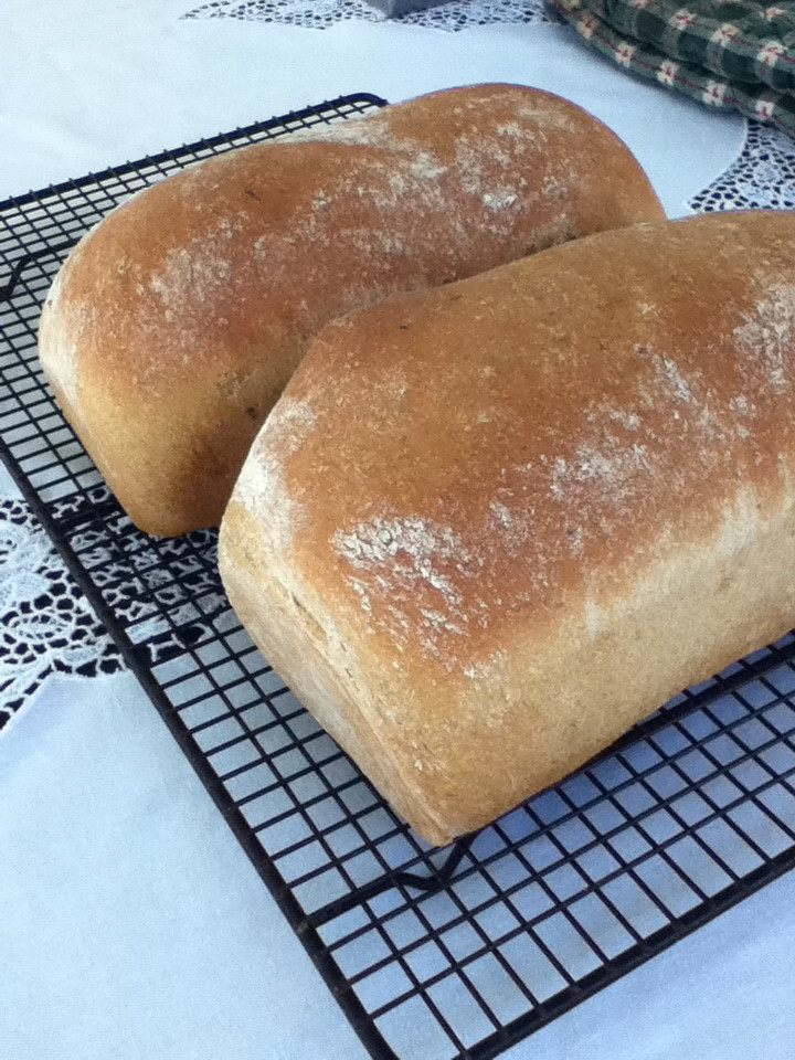 Making Healthy Bread
 Homemade Oatmeal Bread $1 02 loaf