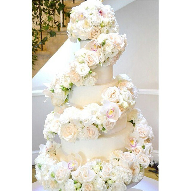 Meijer Wedding Cakes
 Meijer Roses 138 201 Instadiary