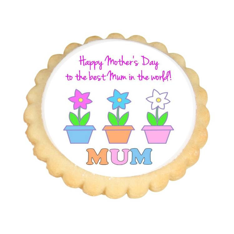 Mother'S Day Sugar Cookies
 Flower Pots Mother s Day Cookies