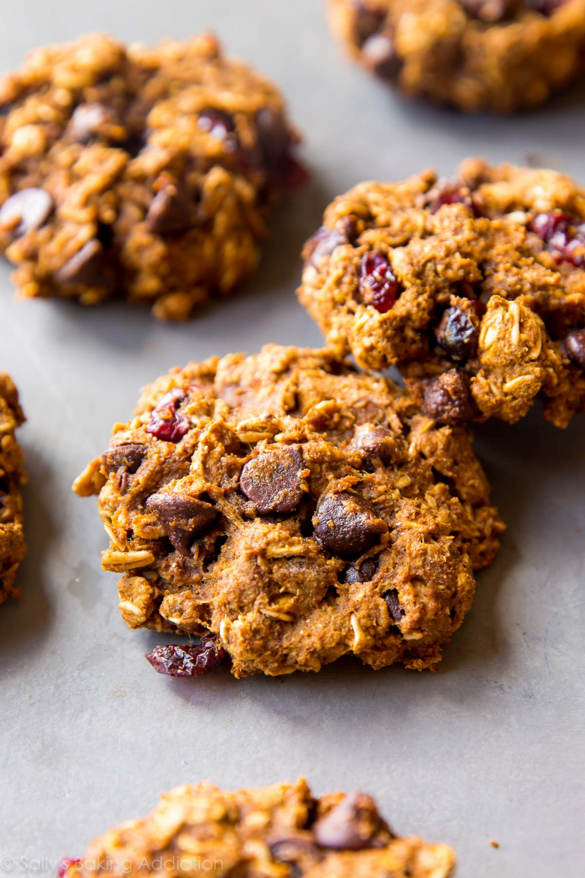 Oat Chocolate Chip Cookies Healthy
 Healthy Pumpkin Chocolate Chip Oatmeal Cookies Sallys