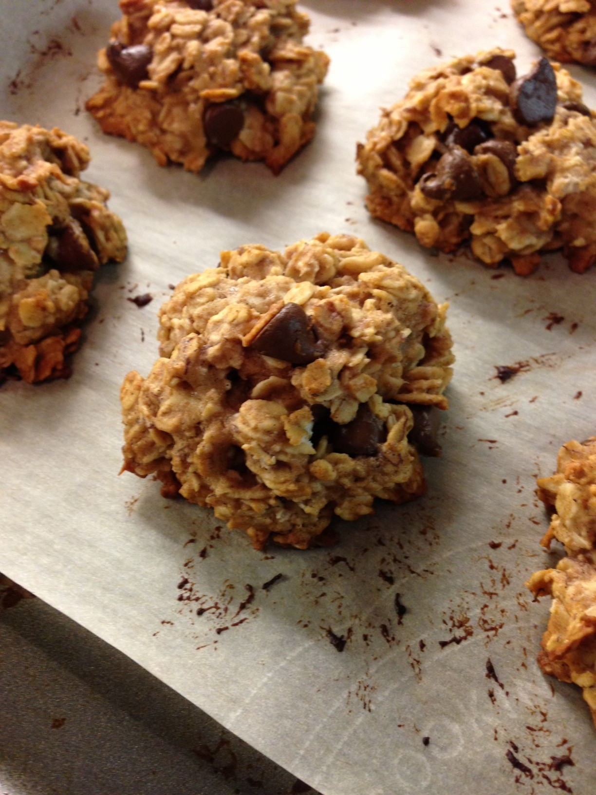 Oatmeal Chocolate Chip Cookies Healthy
 Healthy Oatmeal Chocolate Chip Cookies Lauren Follett