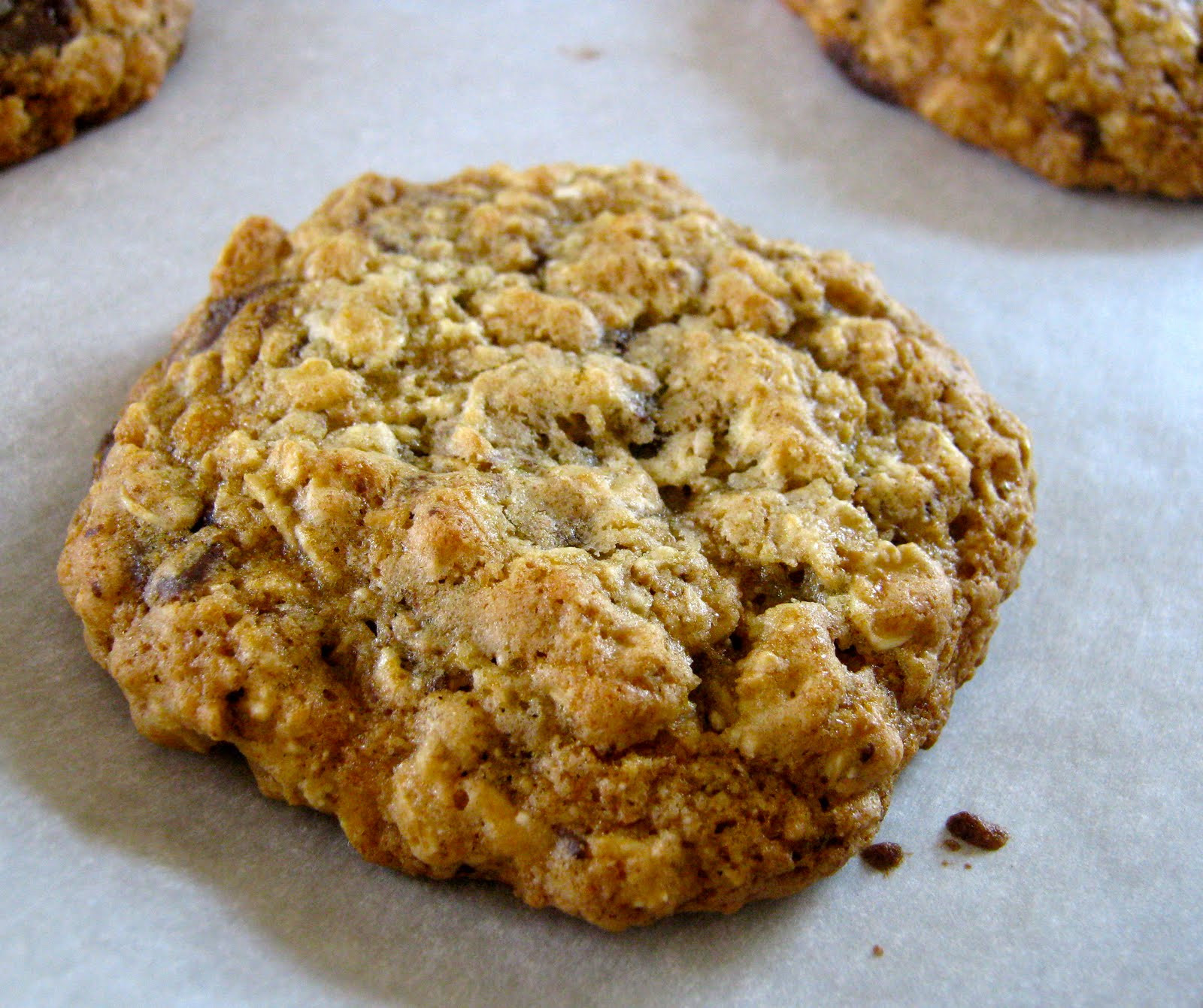 Oatmeal Cookies Healthy
 Healthy Low Fat Banana Oatmeal Cookies SixPackSmackdown