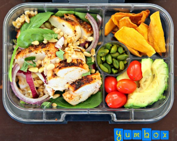 On The Go Healthy Lunches
 Bento Box Lunch Ideas 25 Healthy and Worthy Bento