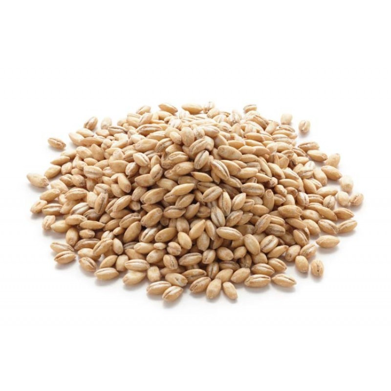 Organic Barley Seed
 Buy Organic Barley Grass Sprouting Seeds 450gr