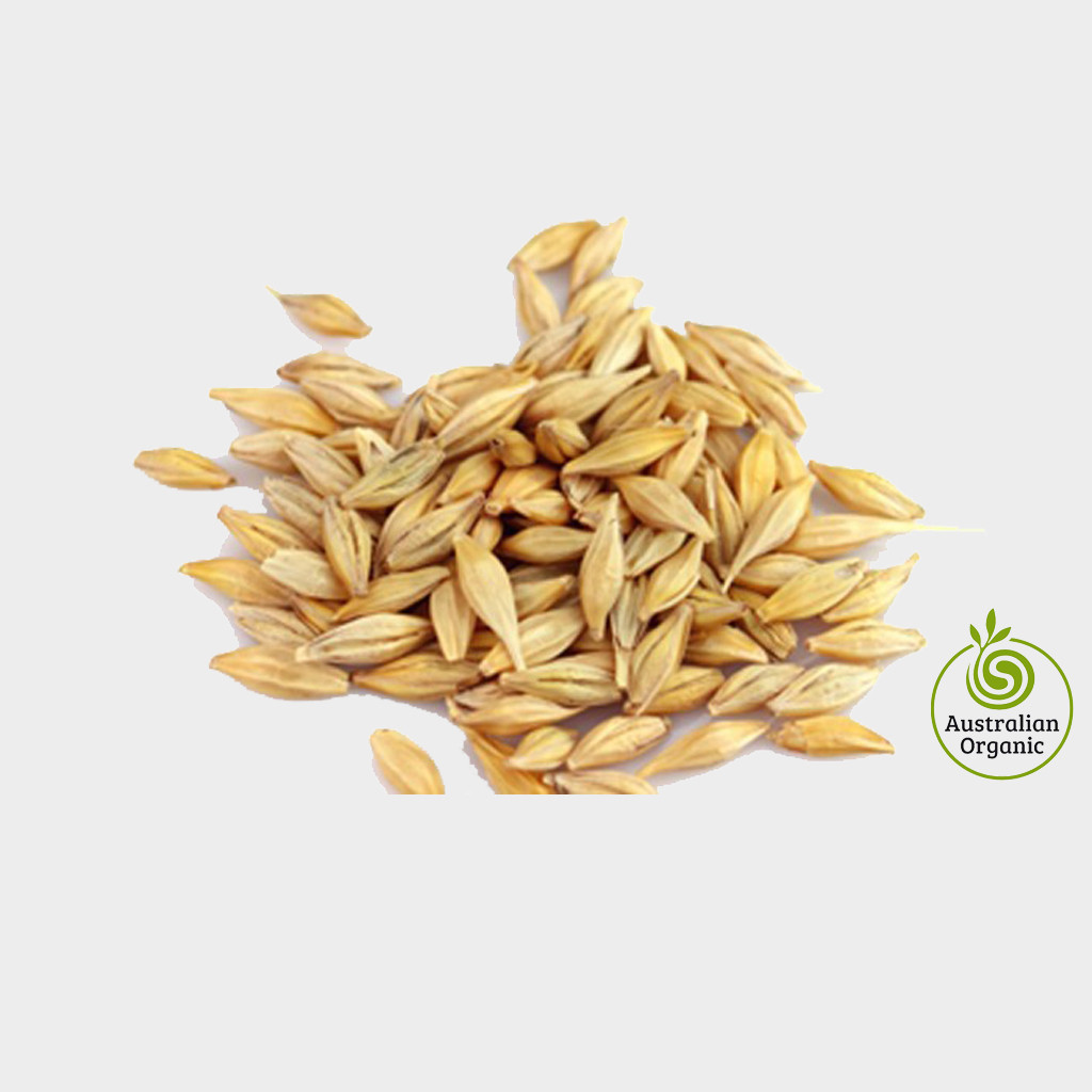 Organic Barley Seed
 Barley Seeds Certified Organic From 1kg to 10kg