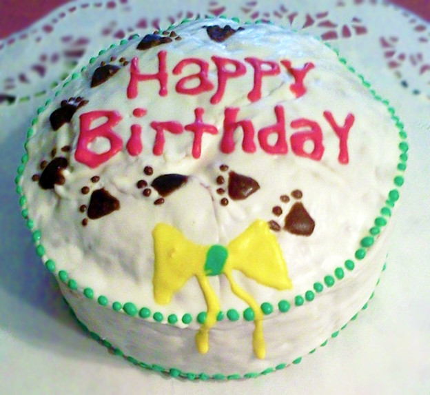 Organic Birthday Cake
 Organic Birthday Cakes & Treats For DogsBeans Make Me Fart
