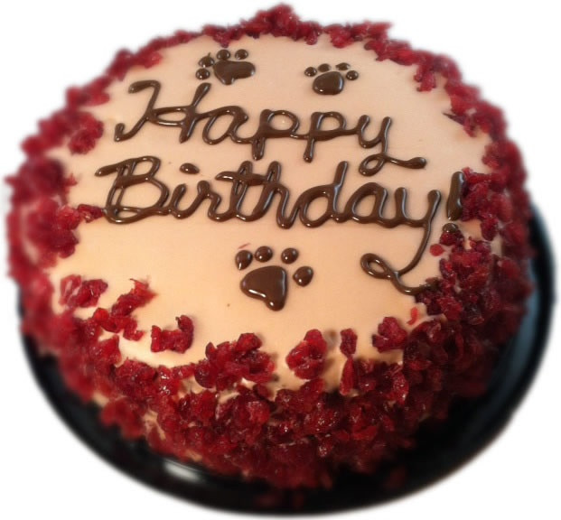 Organic Birthday Cake
 Organic Birthday Cake for Dogs Plus Treats