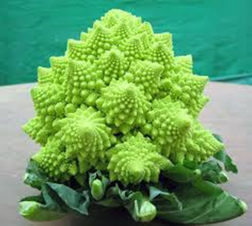 Organic Broccoli Seeds
 Seeds Green Cabbage Broccoli Romanesco Organic Heirloom
