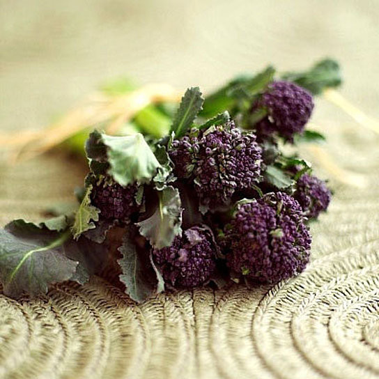 Organic Broccoli Seeds
 Buy Organic Early Purple Sprouting Broccoli Heirloom