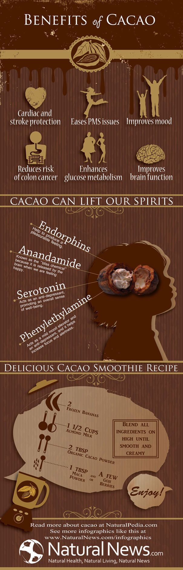 Organic Cocoa Powder Benefits
 The Numerous Health Benefits Cacao Not To Be Confused