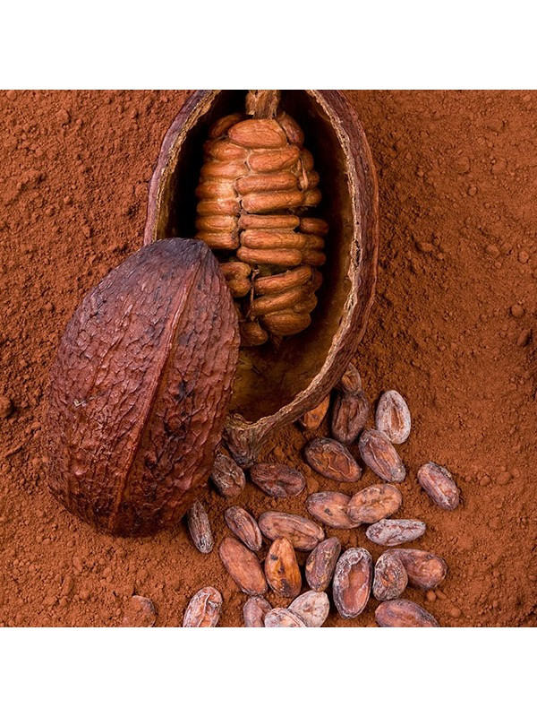 Organic Cocoa Powder Bulk
 Organic Cacao Powder 5KG Bulk