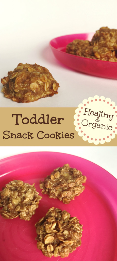 Organic Healthy Snacks
 How to make healthy and organic toddler snacks Twitchetts