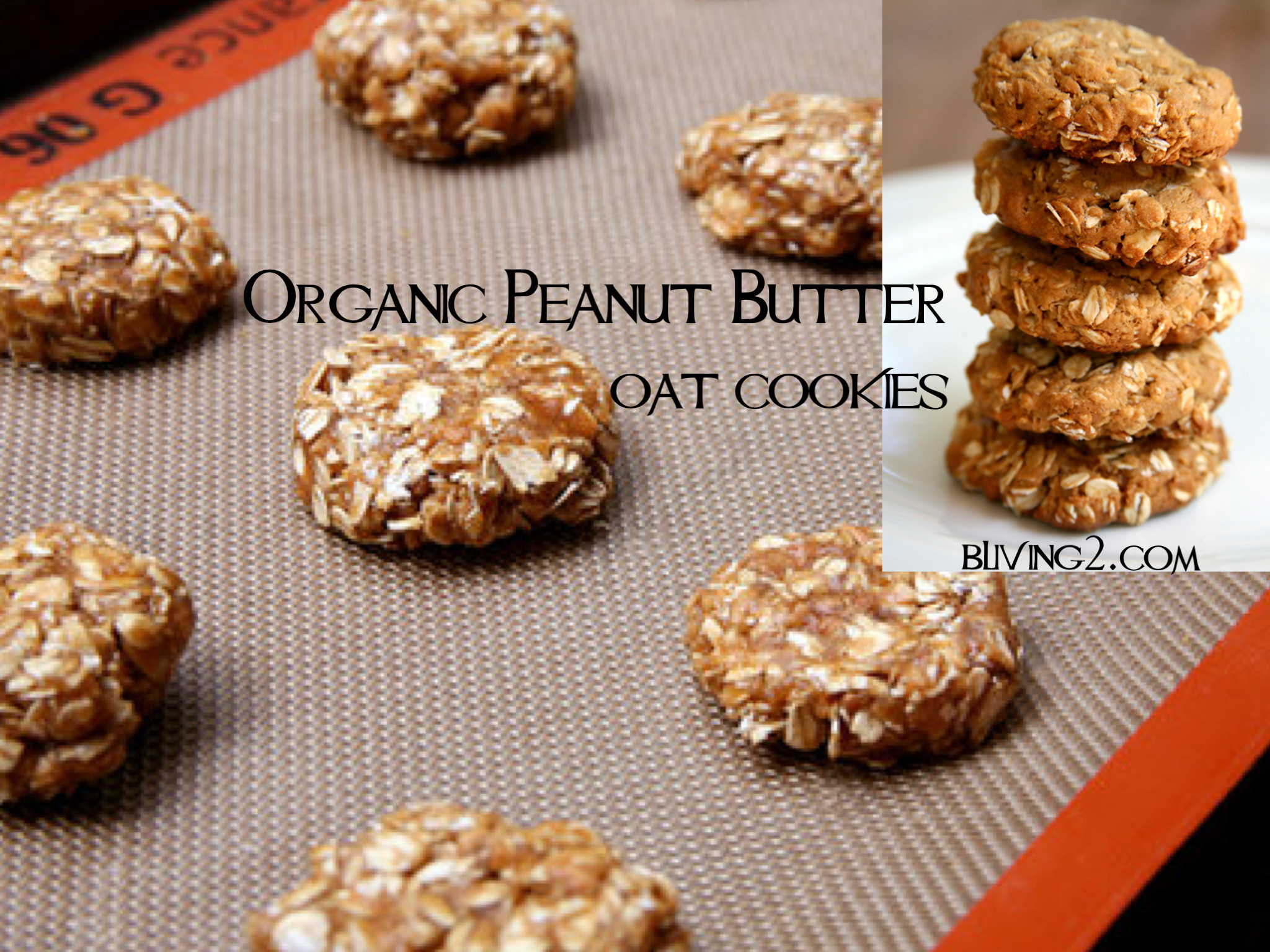 Organic Peanut butter Cookies 20 Of the Best Ideas for organic Peanut butter Oat Cookies – Bliving2
