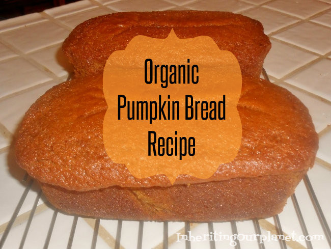 Organic Pumpkin Bread
 Organic Pumpkin Bread Recipe Inheriting Our Planet