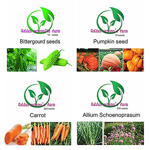 Organic Pumpkin Seeds Usa Grown
 Golden autumn farm Organic ve able seeds set 16