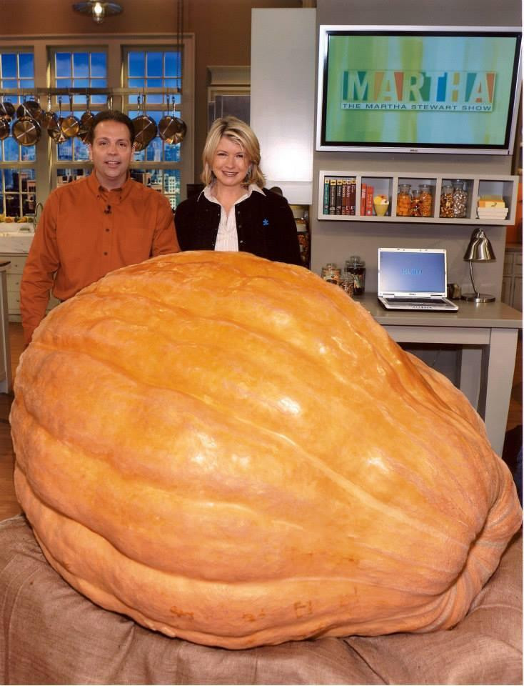 Organic Pumpkin Seeds Usa Grown
 Giant Pumpkin Seeds by Guinness World Record holder