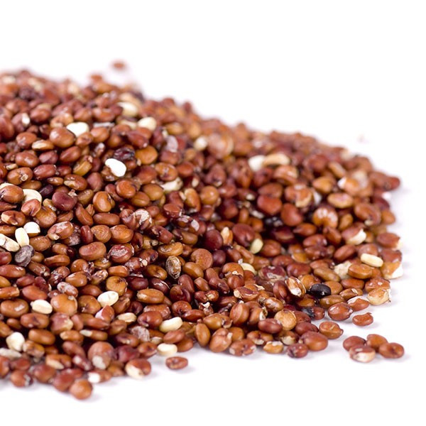 Organic Quinoa Bulk
 Organic Red Quinoa 25KG Bulk