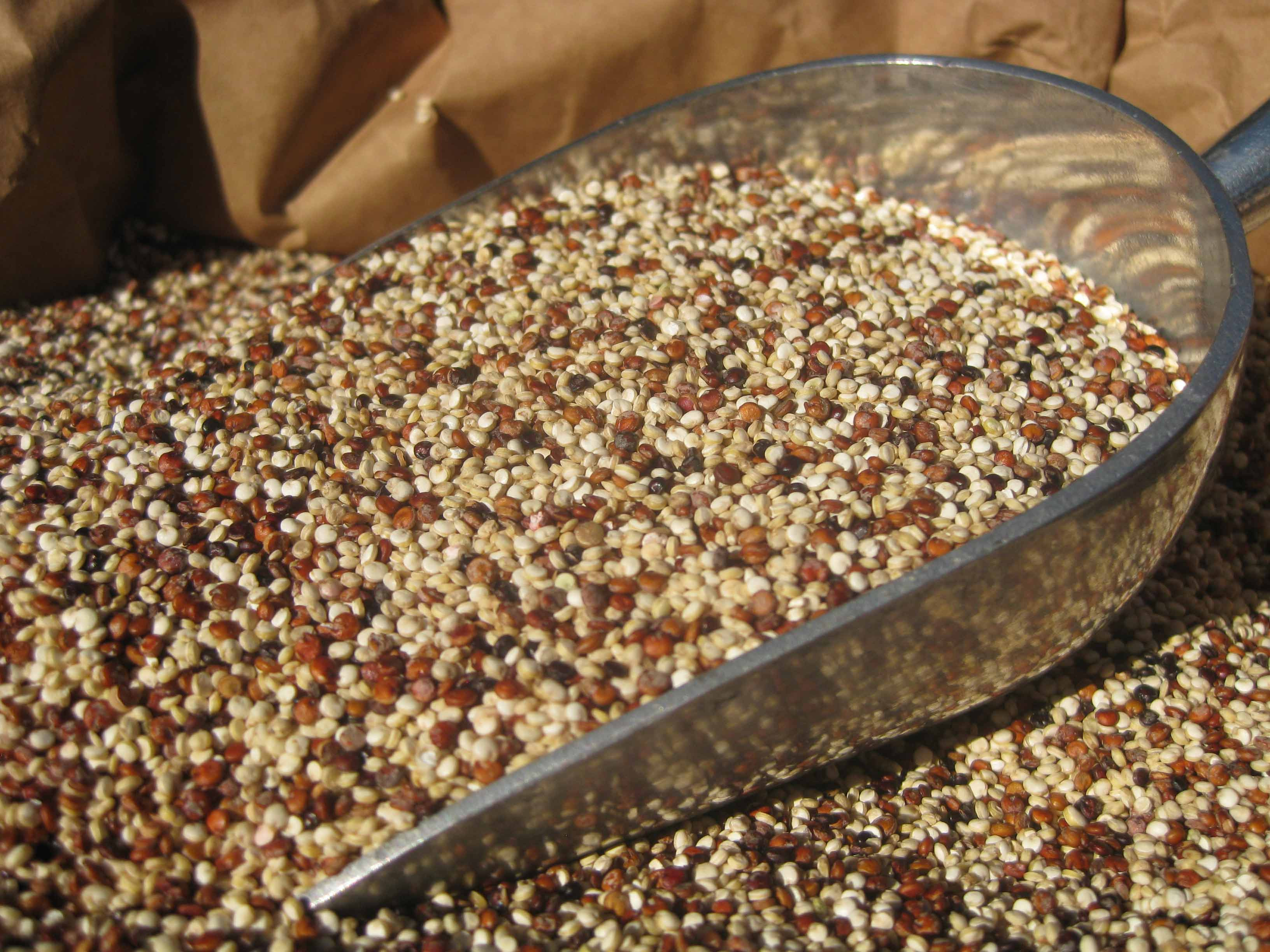 Organic Quinoa Bulk
 ORGANIC QUINOA TRI COLOUR SEED 1 KG BULK FREE FROM GLUTEN